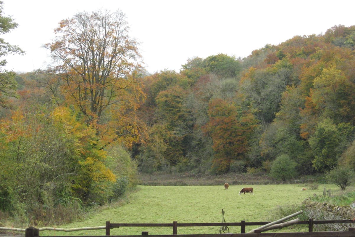 The Golden Valley near Stroud, wooded slopes above a mill valley